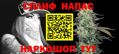 прущие грибы Бердск