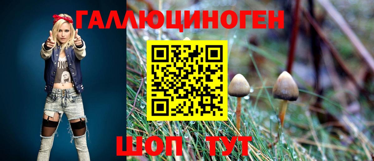 Псилоцибиновые грибы MAGIC MUSHROOMS  сколько стоит  Гусь-Хрустальный  Вход с VPN  Псилоцибиновые грибы Magic Shrooms 