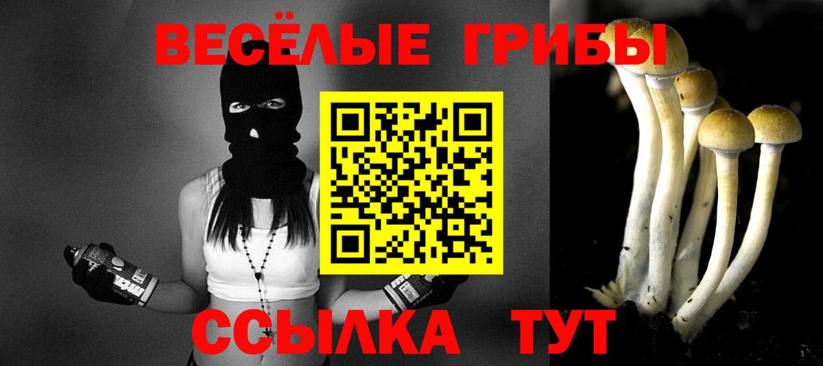 Псилоцибиновые грибы MAGIC MUSHROOMS Гусь-Хрустальный